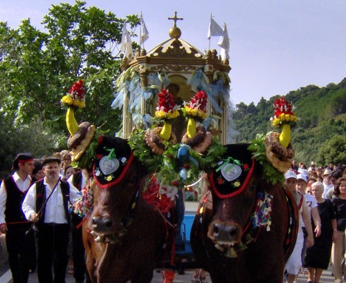 Arbus, Processione per Sant' Antonio